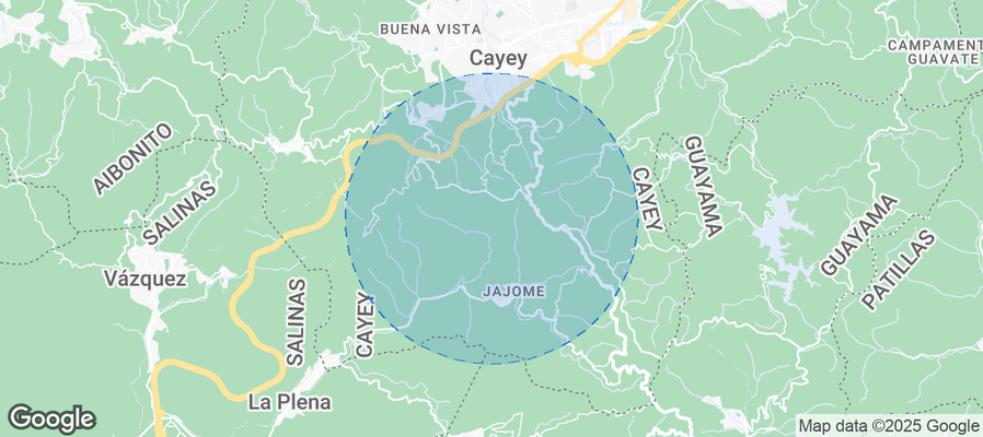 Discover Cayey Airbnb Analytics